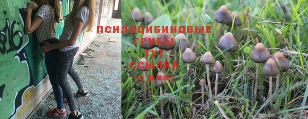 стафф Володарск