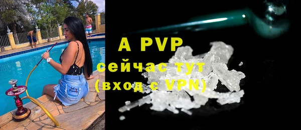 стафф Володарск