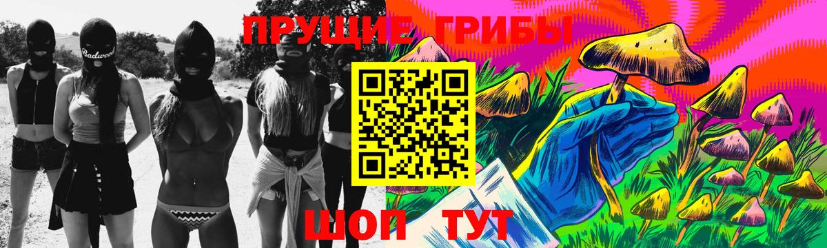Псилоцибиновые грибы Cubensis Нерюнгри