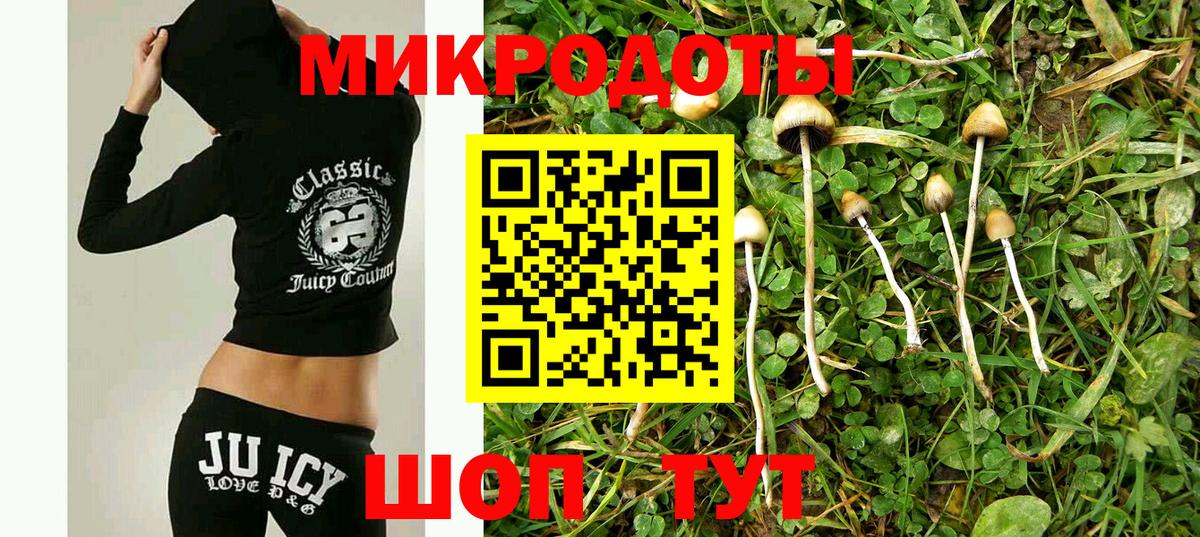 Галлюциногенные грибы мицелий  Вход с VPN  Нерюнгри  наркота  Галлюциногенные грибы ЛСД 