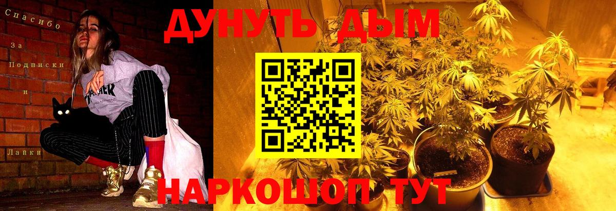 Конопля LSD WEED  Бошки марихуана LSD WEED  Нерюнгри 